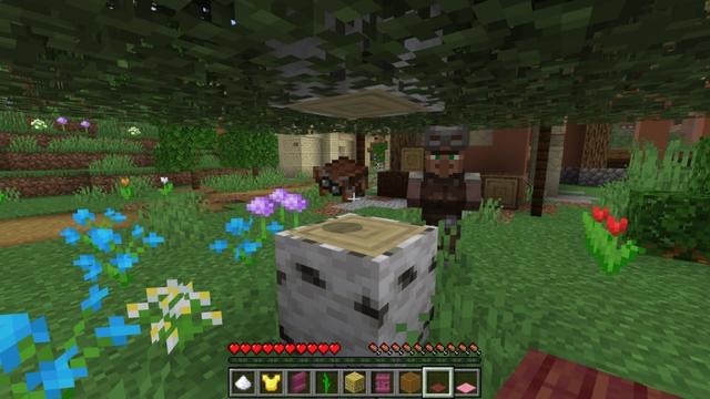Screenshot of the Minecraft Bedrock Marketplace product Random Drop Adventure created by Fall Studios.