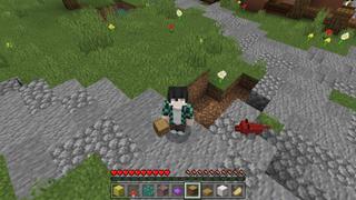 Screenshot of the Minecraft Bedrock Marketplace product Random Drop Challenge created by Fall Studios.