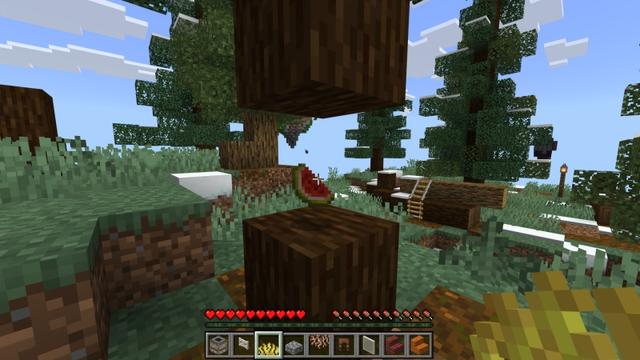 Screenshot of the Minecraft Bedrock Marketplace product Random Drop Skyblock created by Fall Studios.
