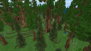 Screenshot of the Minecraft Bedrock Marketplace product Redwood Adventure created by Fall Studios.