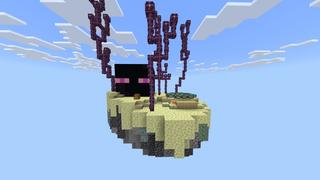 Screenshot of the Minecraft Bedrock Marketplace product Skyblock Mob Heads created by Fall Studios.