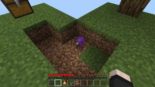 Screenshot of the Minecraft Bedrock Marketplace product Skyblock Random Drop Challenge created by Fall Studios.