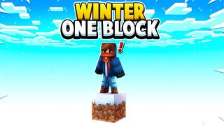 Thumbnail of the Minecraft Bedrock Marketplace product Winter One Block created by Fall Studios.