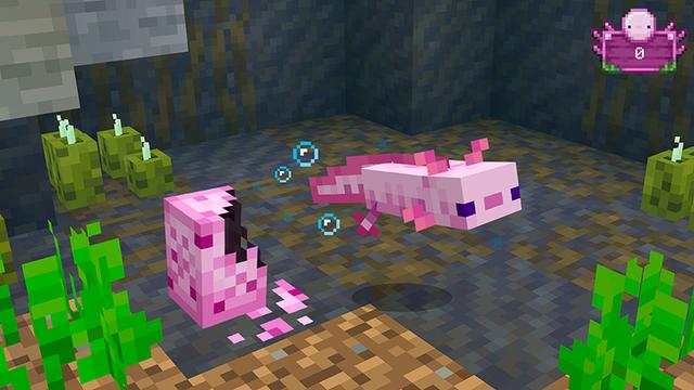 Screenshot of the Minecraft Bedrock Marketplace product Axolotl Evolve created by Float Studios.