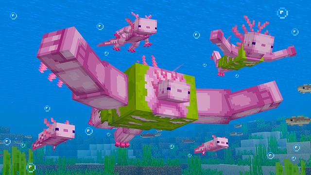 Screenshot of the Minecraft Bedrock Marketplace product Axolotl Evolve created by Float Studios.