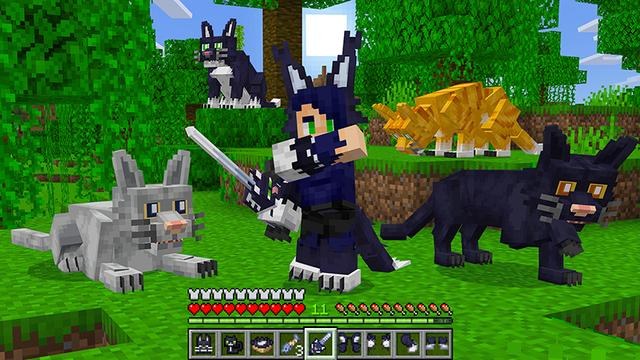Screenshot of the Minecraft Bedrock Marketplace product Fur Craft Add-On created by Float Studios.