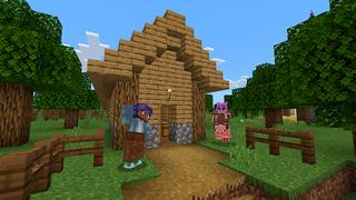 Screenshot of the Minecraft Bedrock Marketplace product Plain Houses: Noob x Pro x God created by Floruit.