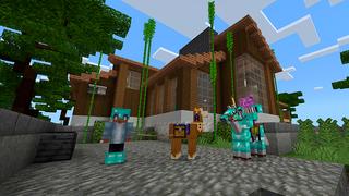 Screenshot of the Minecraft Bedrock Marketplace product Plain Houses: Noob x Pro x God created by Floruit.