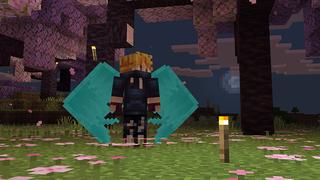 Screenshot of the Minecraft Bedrock Marketplace product Wings+ created by Floruit.