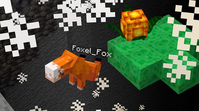 Screenshot of the Minecraft Bedrock Marketplace product Be A Fox created by Foxel Games.