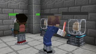 Screenshot of the Minecraft Bedrock Marketplace product Hacker Pets created by Foxel Games.