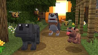 Screenshot of the Minecraft Bedrock Marketplace product Hacker Pets created by Foxel Games.
