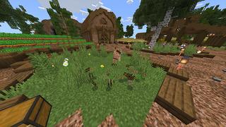 Screenshot of the Minecraft Bedrock Marketplace product Expanded Food created by FTB.