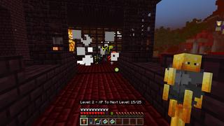 Screenshot of the Minecraft Bedrock Marketplace product Mob Wands created by FTB.