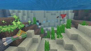 Screenshot of the Minecraft Bedrock Marketplace product Slime Tools created by FTB.