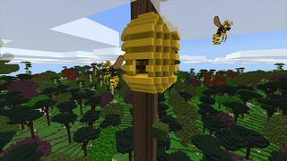 Screenshot of the Minecraft Bedrock Marketplace product Mystic Woodland Survival created by G2Crafted.