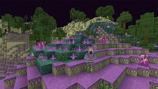 Screenshot of the Minecraft Bedrock Marketplace product The End Is Near created by G2Crafted.