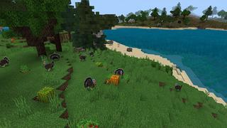 Screenshot of the Minecraft Bedrock Marketplace product Wild Archery Hunting created by G2Crafted.