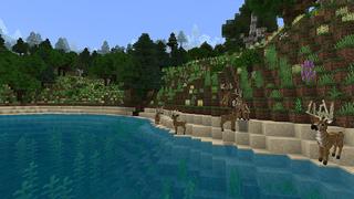 Screenshot of the Minecraft Bedrock Marketplace product Wild Archery Hunting created by G2Crafted.