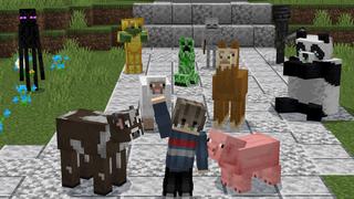 Screenshot of the Minecraft Bedrock Marketplace product Pets Expansion created by Giggle Block Studios.