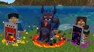 Screenshot of the Minecraft Bedrock Marketplace product Shield Expansion created by GoE-Craft.