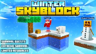 Thumbnail of the Minecraft Bedrock Marketplace product Winter Skyblock created by GoE-Craft.