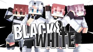 Thumbnail of the Minecraft Bedrock Marketplace product Black and White created by HeroPixels.