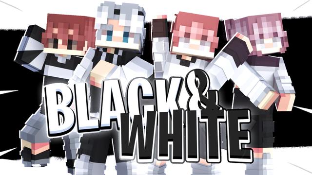 Thumbnail of the Minecraft Bedrock Marketplace product Black and White created by Heropixel Games.