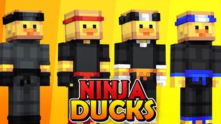 Thumbnail of the Minecraft Bedrock Marketplace product Ninja Ducks created by HeroPixels.