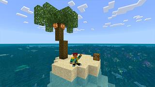 Screenshot of the Minecraft Bedrock Marketplace product Survival Island created by Heropixel Games.