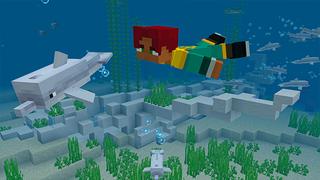 Screenshot of the Minecraft Bedrock Marketplace product Survival Island created by Heropixel Games.