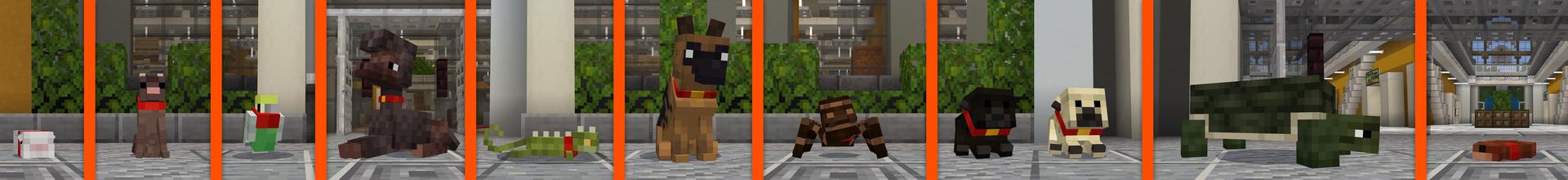 Panorama of the Minecraft Bedrock Marketplace product PETS: Shop created by HorizonBlocks.