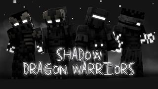 Thumbnail of the Minecraft Bedrock Marketplace product Shadow Dragon Warriors created by Hourglass Studios.