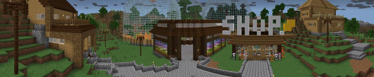 Panorama of the Minecraft Bedrock Marketplace product Birds created by House of How.