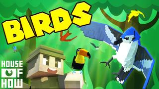 Thumbnail of the Minecraft Bedrock Marketplace product Birds created by House of How.