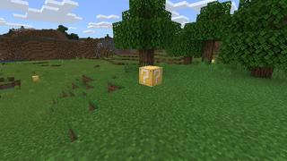 Screenshot of the Minecraft Bedrock Marketplace product Lucky Block 2: Survival created by House of How.