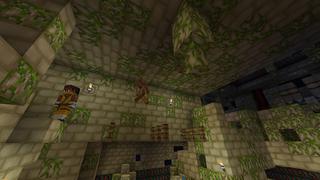 Screenshot of the Minecraft Bedrock Marketplace product Magic Carpet 2 created by House of How.