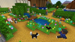 Screenshot of the Minecraft Bedrock Marketplace product More Dogs created by House of How.