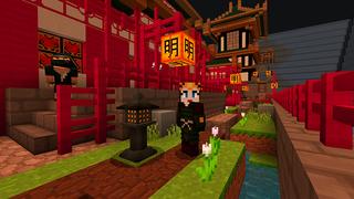 Screenshot of the Minecraft Bedrock Marketplace product Ninja Force: World created by House of How.