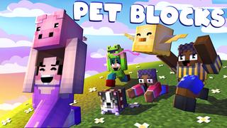 Thumbnail of the Minecraft Bedrock Marketplace product Pet Blocks created by House of How.