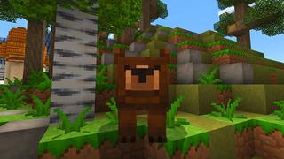 Screenshot of the Minecraft Bedrock Marketplace product Rescue Zoo created by House of How.