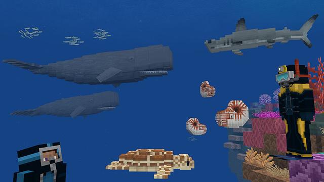Screenshot of the Minecraft Bedrock Marketplace product Marine Biologist Roleplay created by Imagiverse.