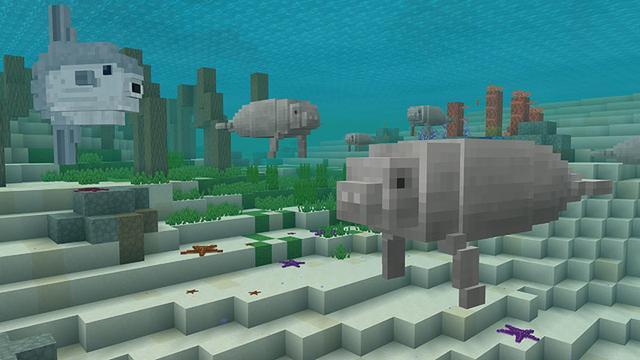 Screenshot of the Minecraft Bedrock Marketplace product Marine Biologist Roleplay created by Imagiverse.
