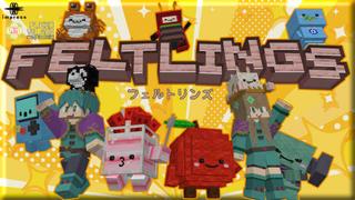 Thumbnail of the Minecraft Bedrock Marketplace product Feltlings created by Impress.