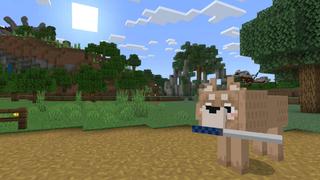 Screenshot of the Minecraft Bedrock Marketplace product Ninja Dungeons created by Impress.