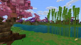 Screenshot of the Minecraft Bedrock Marketplace product Anime Biome created by In Mine.