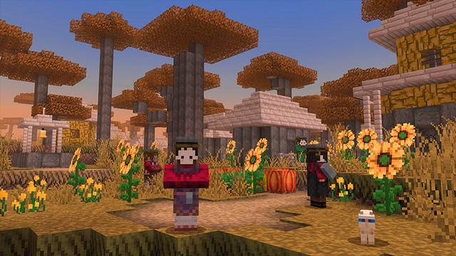 Screenshot of the Minecraft Bedrock Marketplace product Medieval created by In Mine.