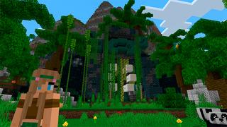 Screenshot of the Minecraft Bedrock Marketplace product Plane Crash created by In Mine.