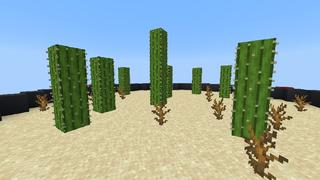 Screenshot of the Minecraft Bedrock Marketplace product Round Skyblock created by In Mine.