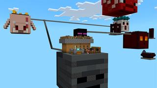 Screenshot of the Minecraft Bedrock Marketplace product Skyblock Nether Mob Heads created by In Mine.